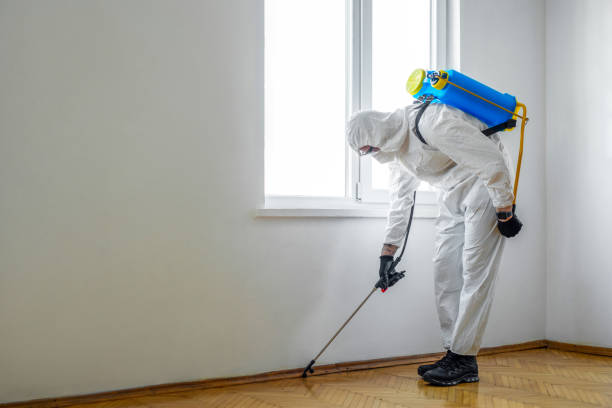 Professional Pest Control in Stony Point, MI